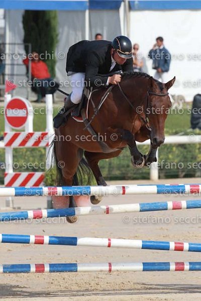 FALZINI_REMBRANDO_GIO CAV 2011_SS3_0623.jpg